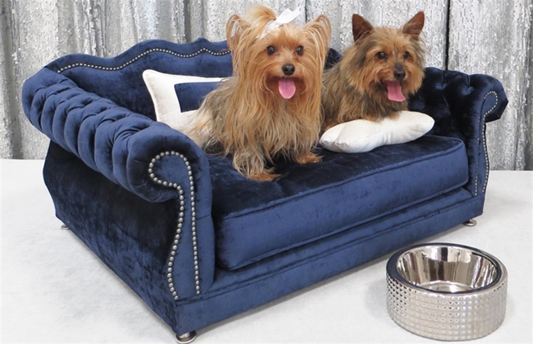 A canine couch